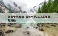 天长中学2018-天长中学2018高考录取院校