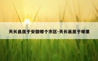 天长县属于安徽哪个市区-天长县属于哪里