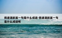 我递酒前面一句是什么成语-我递酒前面一句是什么成语呢