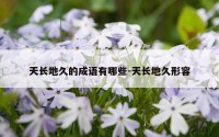 天长地久的成语有哪些-天长地久形容