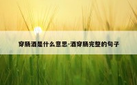 穿肠酒是什么意思-酒穿肠完整的句子