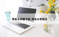 天长小学哪个区-天长小学划分