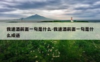 我递酒前面一句是什么-我递酒前面一句是什么成语