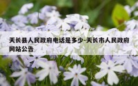 天长县人民政府电话是多少-天长市人民政府网站公告