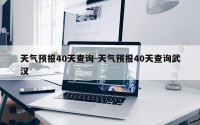 天气预报40天查询-天气预报40天查询武汉