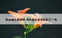 天长地久无终毕-天长地久无尽时的下一句