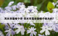 天长市是哪个市-天长市是安徽哪个地方的?