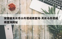 安徽省天长市小升初成绩查询-天长小升初成绩查询网址