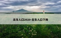 出生人囗2020-出生人囗下降