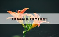 天长2020百强-天长市十佳企业