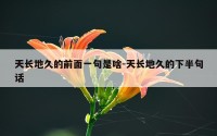 天长地久的前面一句是啥-天长地久的下半句话