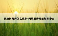 天地长寿丹怎么炼制-天地长寿丹能加多少命