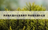 天长地久是什么生肖数字-天长地久指什么肖