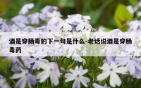 酒是穿肠毒的下一句是什么-老话说酒是穿肠毒药