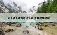 天长地久歌曲歌词王峰-天长地久歌词