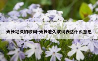 天长地久的歌词-天长地久歌词表达什么意思