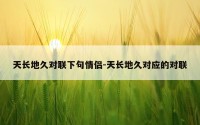 天长地久对联下句情侣-天长地久对应的对联