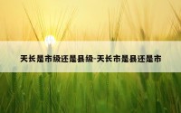 天长是市级还是县级-天长市是县还是市