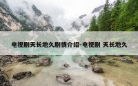 电视剧天长地久剧情介绍-电视剧 天长地久