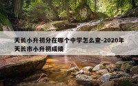 天长小升初分在哪个中学怎么查-2020年天长市小升初成绩