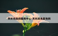 天长市政府服务中心-天长政务服务网