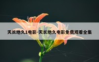 天长地久1电影-天长地久电影免费观看全集