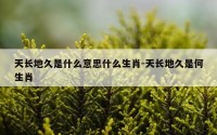 天长地久是什么意思什么生肖-天长地久是何生肖