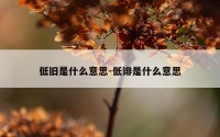 低旧是什么意思-低诽是什么意思